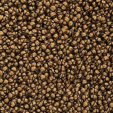 Best Wool Nature Vivaldi I-AB Flavoured Ginger фото 1 | FLOORDEALER